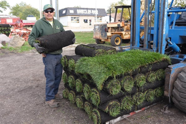 Sod 10 sq. ft. (2' x 5') — bulk lawn & seed available at Behrens Landscape Material & Supply in Deer Park, IL
