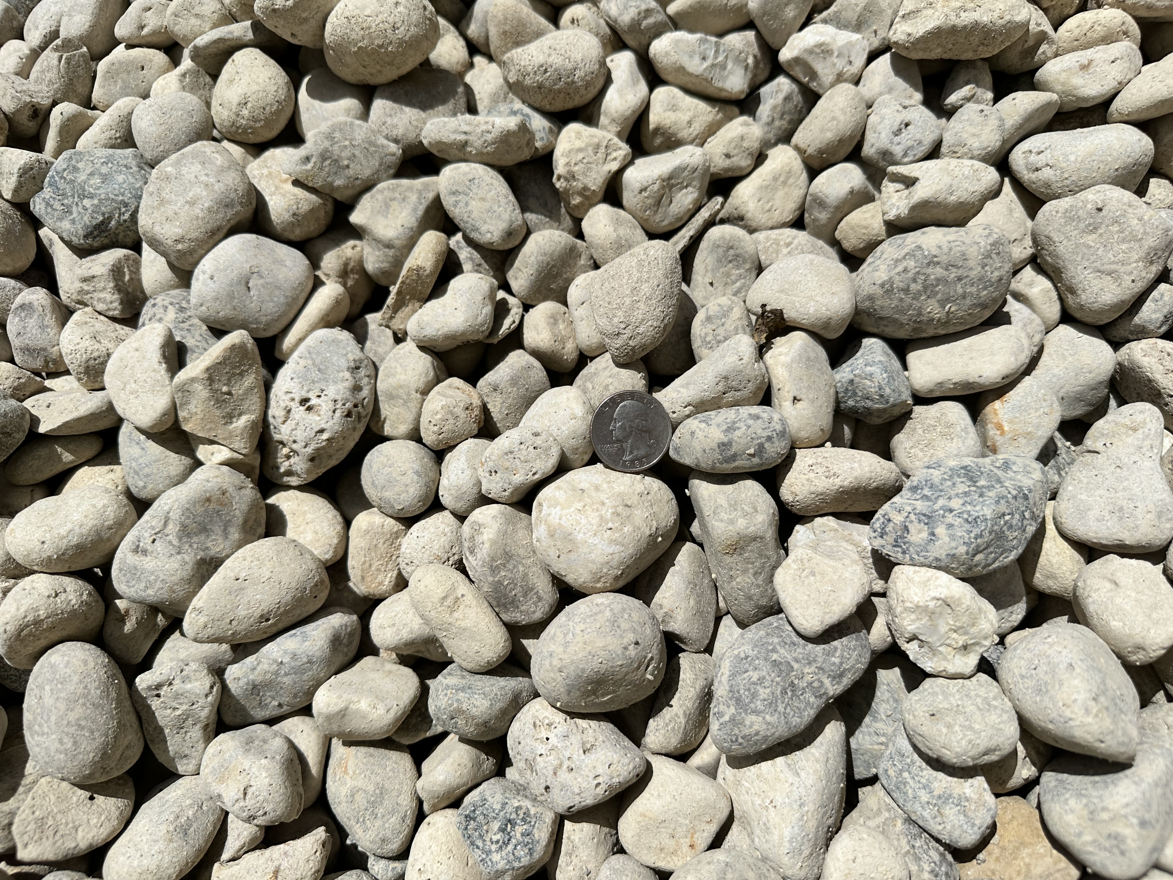 1 1/2" Washed #8 Stone — bulk stone & gravel at Behrens Landscape Material & Supply, Deer Park IL