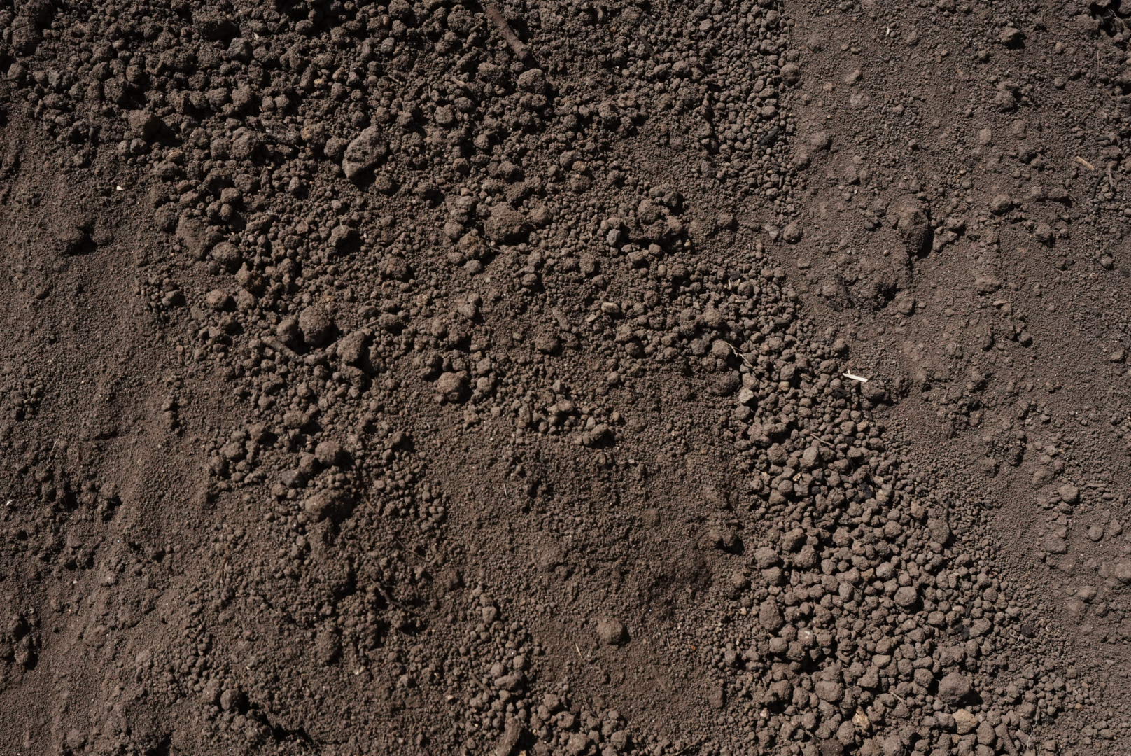 Pulverized Topsoil — bulk topsoil & organics at Behrens Landscape Material & Supply, Deer Park IL