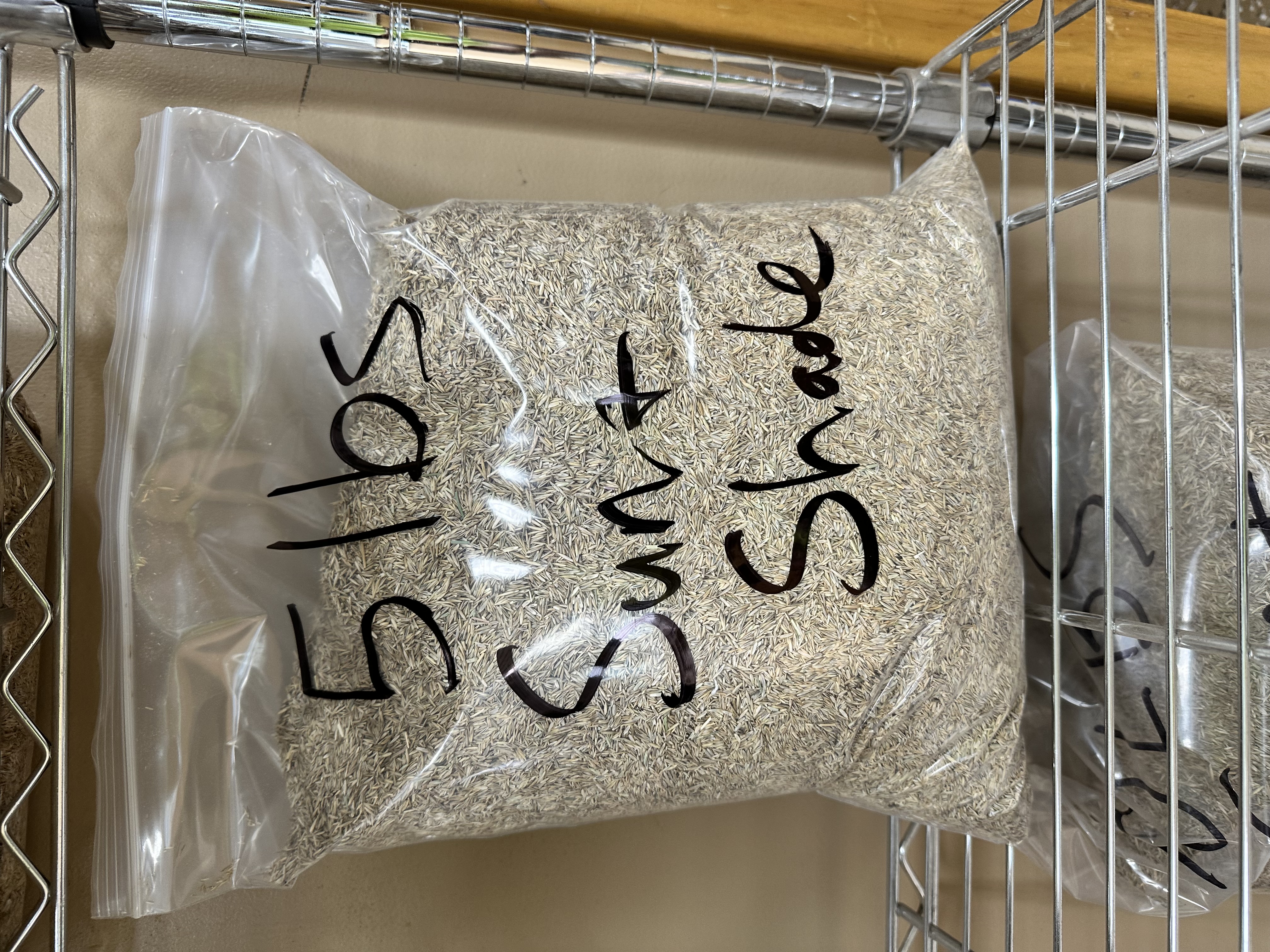 Sun & Shade Mix (per lb.) — bulk lawn & seed at Behrens Landscape Material & Supply, Deer Park IL