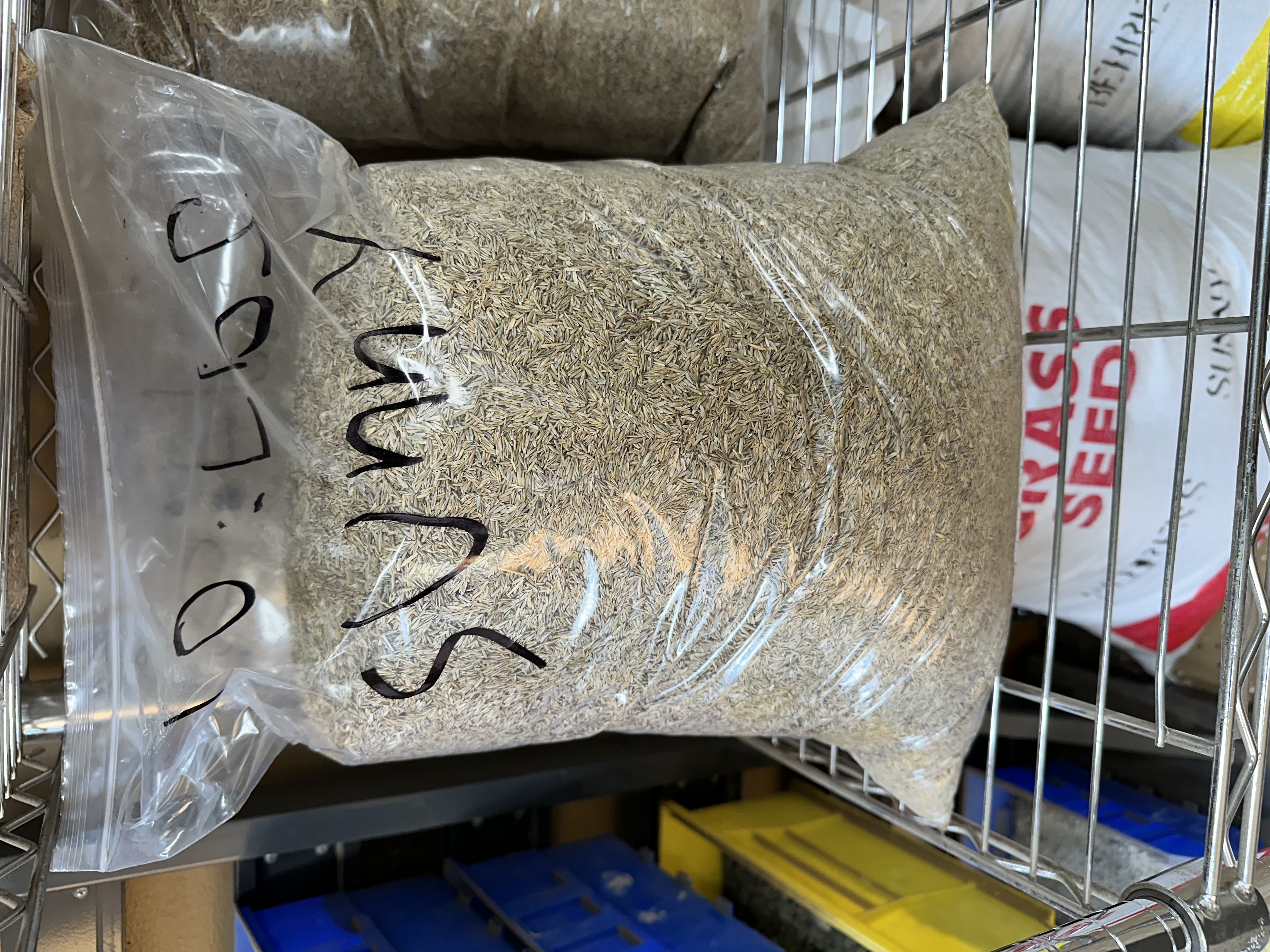 Sunny Seed (per lb.) — bulk lawn & seed at Behrens Landscape Material & Supply, Deer Park IL