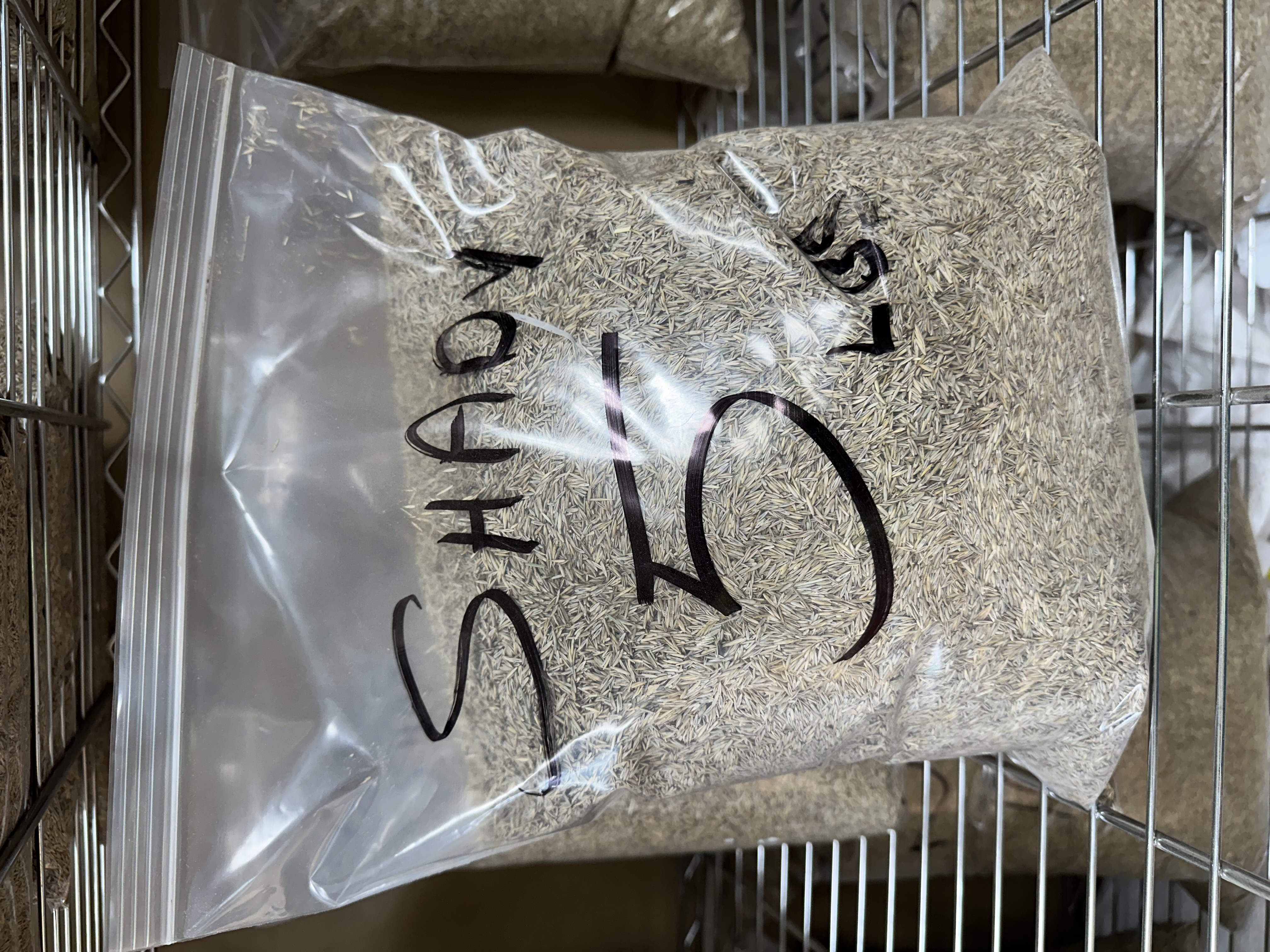 Shade Seed (per lb.) — bulk lawn & seed at Behrens Landscape Material & Supply, Deer Park IL